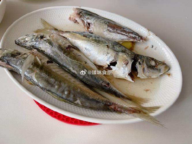 一壶金翘茶，一片夏日微风——懂得喝，亦是另一种好好吃饭